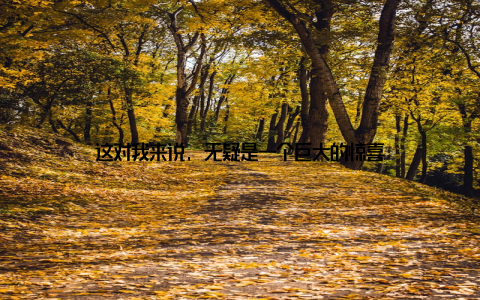 这对我来说, 无疑是一个巨大的惊喜