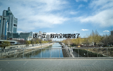 这一次, 我完全被震惊了