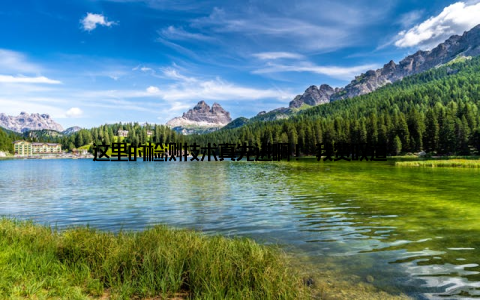 这里的检测技术真先进啊! 我赞叹道