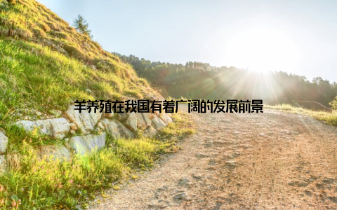 羊养殖在我国有着广阔的发展前景