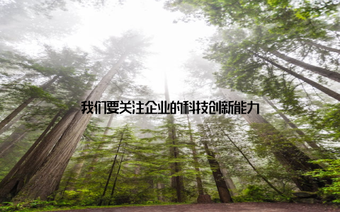 我们要关注企业的科技创新能力