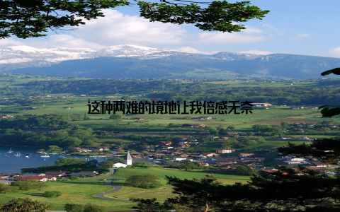 这种两难的境地让我倍感无奈