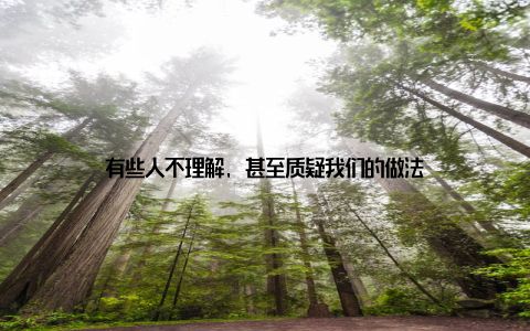 有些人不理解, 甚至质疑我们的做法