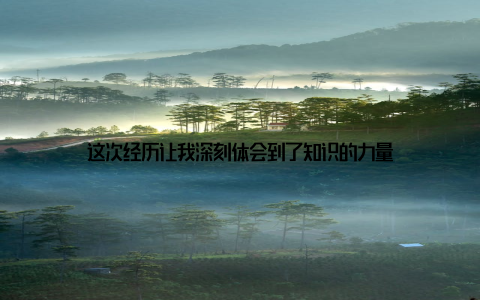 这次经历让我深刻体会到了知识的力量