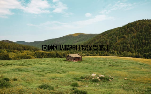 这种团队精神让我深受感动