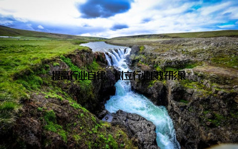 提高行业自律, 树立行业良好形象