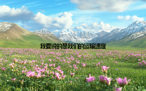 我要说的是我们的运输速度