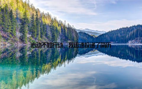 心动不如行动, 我迅速投递了简历