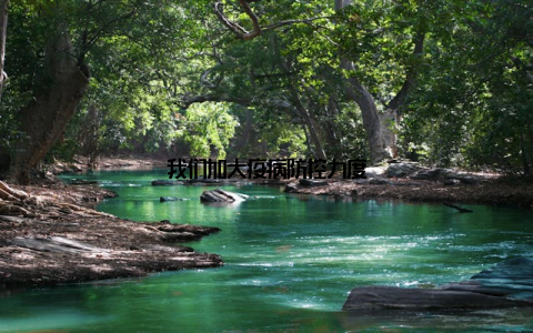 我们加大疫病防控力度