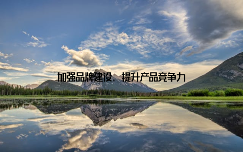 加强品牌建设, 提升产品竞争力