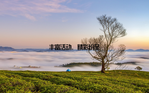 丰富活动, 精彩纷呈