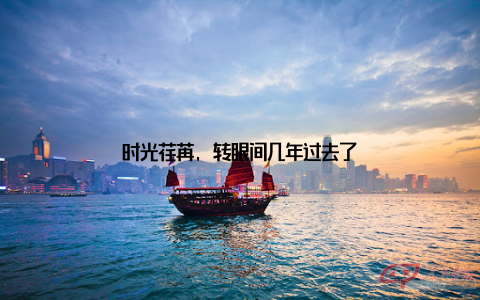 时光荏苒, 转眼间几年过去了