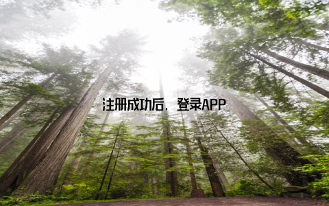 注册成功后, 登录APP