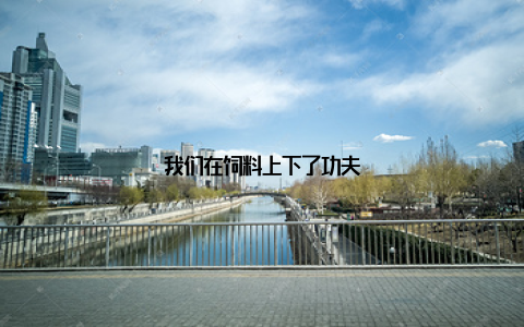 我们在饲料上下了功夫