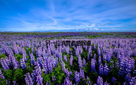 另一位消费者感叹道