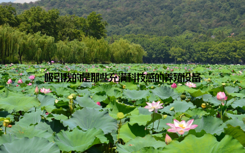 吸引我的是那些充满科技感的养殖设备