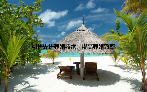 引进先进养殖技术, 提高养殖效率