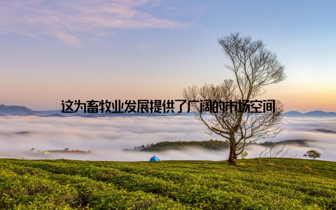 这为畜牧业发展提供了广阔的市场空间