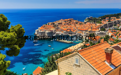 黄石畜牧局在养殖技术上下足了功夫