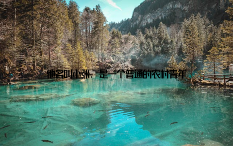 他名叫小张, 是一个普通的农村青年