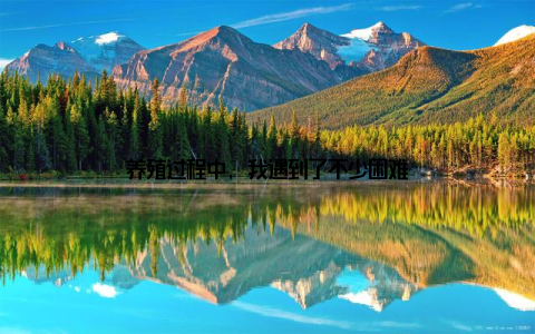 养殖过程中, 我遇到了不少困难