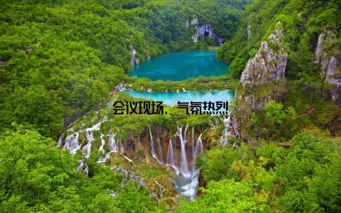 会议现场, 气氛热烈