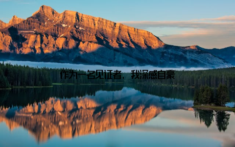 作为一名见证者, 我深感自豪