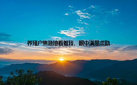 养殖户焦急地看着我, 眼中满是求助