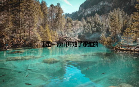 于是, 我们开始了艰难的