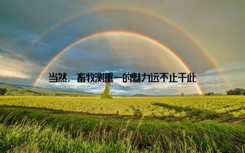 当然, 畜牧测重一的魅力远不止于此