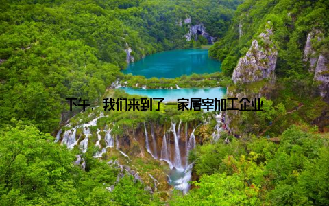 下午, 我们来到了一家屠宰加工企业