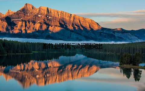 畜牧业环境污染问题突出