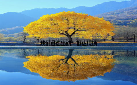 我们迅速出动, 抵达现场