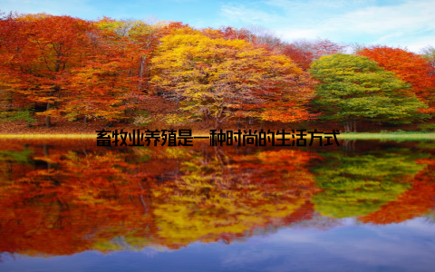 畜牧业养殖是一种时尚的生活方式