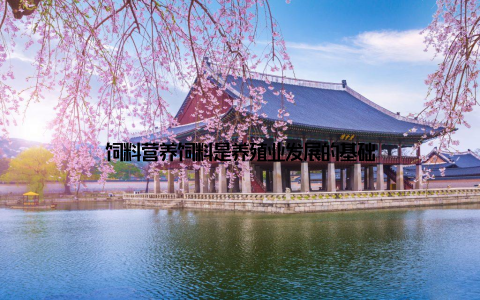 饲料营养饲料是养殖业发展的基础