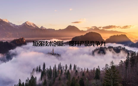 加强技术创新, 提升产品竞争力