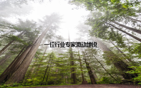 一位行业专家激动地说