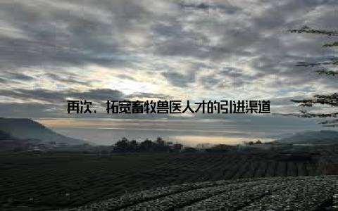 再次, 拓宽畜牧兽医人才的引进渠道