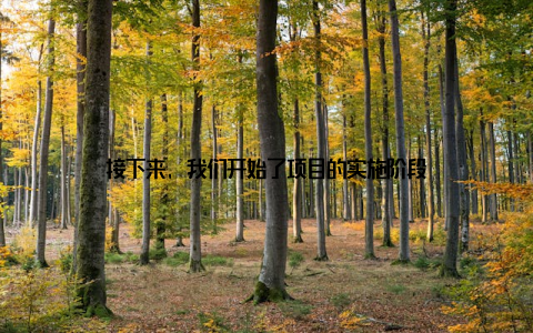 接下来, 我们开始了项目的实施阶段