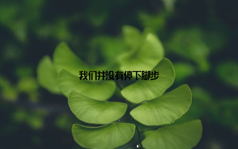 我们并没有停下脚步