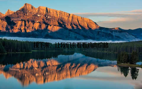 接下来, 让我们来看看鸡肉价格