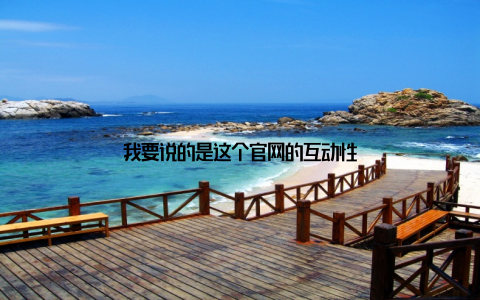 我要说的是这个官网的互动性