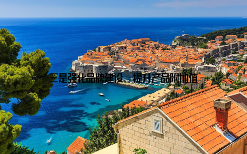 三是强化品牌建设, 提升产品附加值