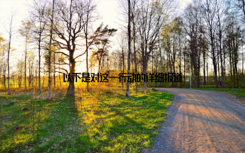 以下是对这一行动的详细报道