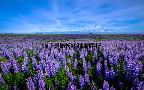 以下是局长X的调研手记