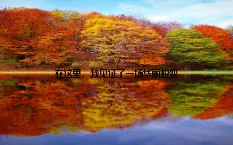 在这里, 我见证了一场华丽蜕变