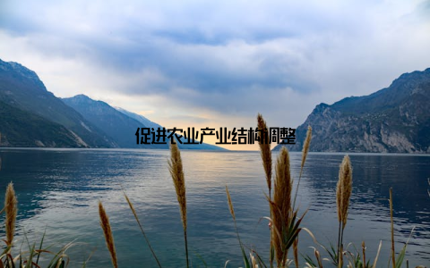 促进农业产业结构调整