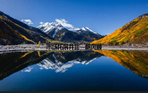 市场拓展并非一帆风顺