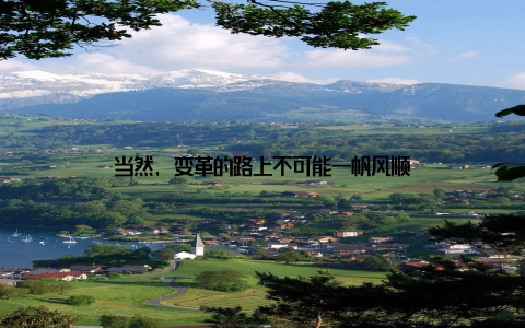 当然, 变革的路上不可能一帆风顺