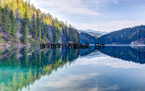 协字协字代表着协调、合作